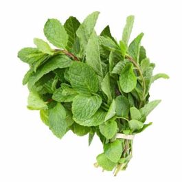 Mint fresh podina 1 bunch