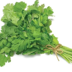 fresh coriander green dhania 1 bunch