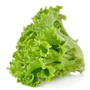 Salad Patta (lettuce) 1 Bunch