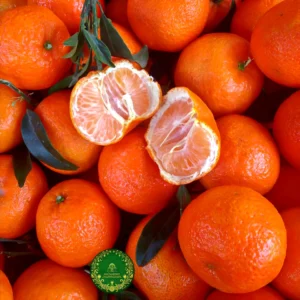 Fruitter (Orange) 6 pcs