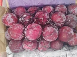 Alubukhara box plum
