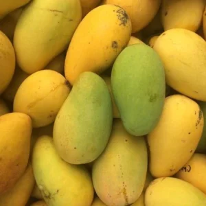 Saroli mango 1kg