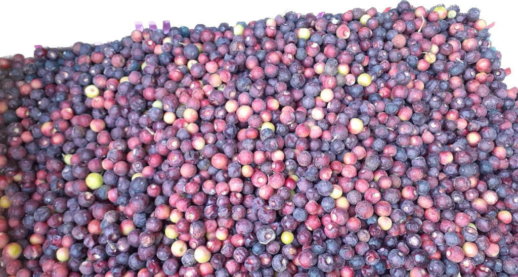 Falsa 500g