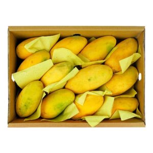 Sindhri mango 5kg box